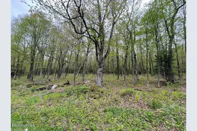 174 Tilda Hill Rd, Florida, MA 01247 - Photo 1
