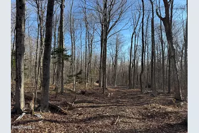 0 Sadoga Road, Heath, MA 01346 - Photo 3