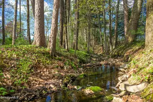 304 Hickey Hill Rd, Sheffield, MA 01257 - Photo 55