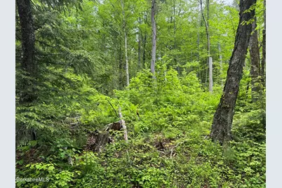 Lot ''b'' Beulah Land Rd, Blandford, MA 01008 - Photo 5