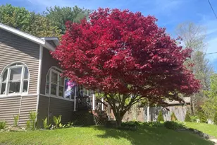 340 Elm St, Pittsfield, MA 01201 - Photo 35
