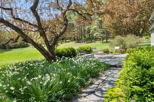 58 River Rd, Plainfield, MA 01070 - Photo 5