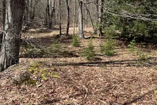 427 W Rd, Clarksburg, MA 01247 - Photo 5