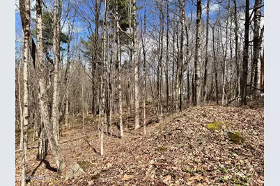 0 Goose Pond (Lot #4) Rd, Tyringham, MA 01264 - Photo 5