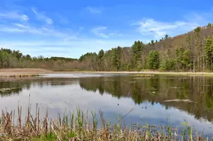 89 Undermountain Rd, Egremont, MA 01258 - Photo 55