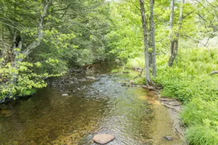 49 Parish Rd, Worthington, MA 01098 - Photo 29