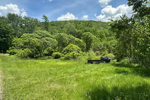 3 Apple St, Stockbridge, MA 01262 - Photo 11
