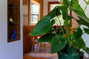 8 Stillwell St, Great Barrington, MA 01230 - Photo 19
