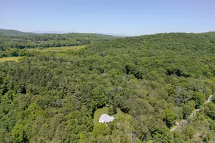 145 Snyder Pond Rd, Copake Falls, NY 12516 - Photo 35