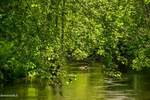 297 Wiltsie Bridge Rd, Ancram, NY 12503 - Photo 45