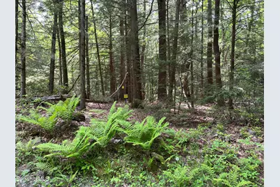 Lot 84 Churchill Rd, Otis, MA 01253 - Photo 9