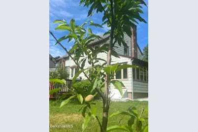 19 Roselyn Dr, Pittsfield, MA 01201 - Photo 39