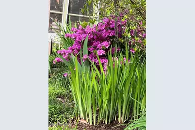 210 Church St, Lee, MA 01238 - Photo 9