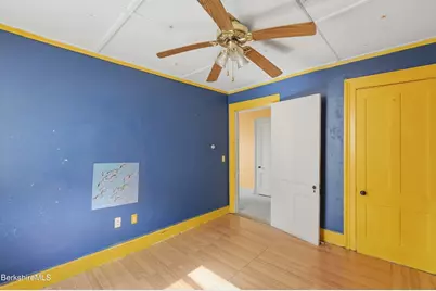 110 Elizabeth St, Pittsfield, MA 01201 - Photo 49