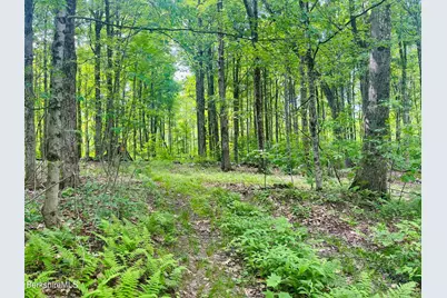Lot 0 Greylock Estates Rd, Lanesborough, MA 01237 - Photo 1