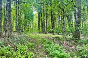 Lot 0 Greylock Estates Rd, Lanesborough, MA 01237 - Photo 1