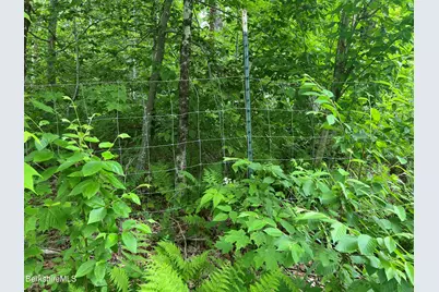 217 Lot 3 Jacobs Ladder Rd Rd, Becket, MA 01223 - Photo 5