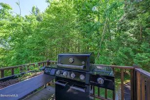 254 Harrington Rd, Otis, MA 01253 - Photo 35