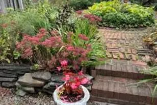 70 Sunrise St, Lanesborough, MA 01237 - Photo 27