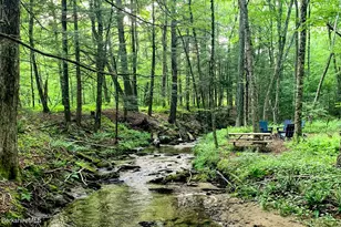 99 Beartown Mountain Rd, Monterey, MA 01245 - Photo 57