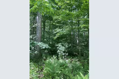 0 Whites Hill Rd, Alford, MA 01266 - Photo 11