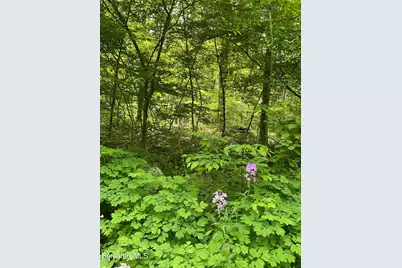 0 Whites Hill Rd, Alford, MA 01266 - Photo 7
