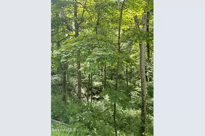 0 Whites Hill Rd, Alford, MA 01266 - Photo 13