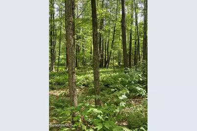 0 Whites Hill Rd, Alford, MA 01266 - Photo 3