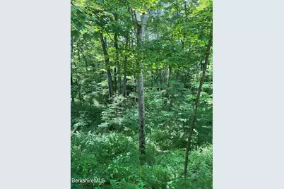 0 Whites Hill Rd, Alford, MA 01266 - Photo 5