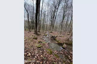 0 Manley Phelps Rd, Monroe, MA 01350 - Photo 3