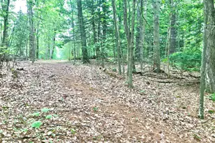 1165 Reservoir Rd, Otis, MA 01029 - Photo 33