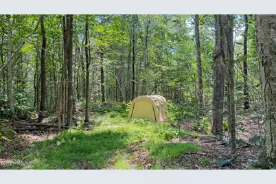 258 Captain Whitney Rd, Becket, MA 01223 - Photo 29