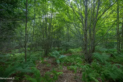 Lot 21 Stoney Brook Rd, Becket, MA 01223 - Photo 13