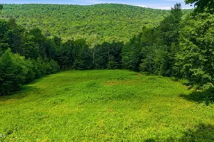 16 Old Tree Farm Rd, Stockbridge, MA 01262 - Photo 47