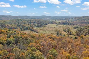 49 Knapp Hollow Ln, Hillsdale, NY 12529 - Photo 33