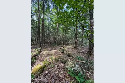 Lot 35 Deer Run, Becket, MA 01223 - Photo 1