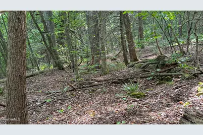 Lot 35 Deer Run, Becket, MA 01223 - Photo 7
