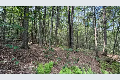 Lot 35 Deer Run, Becket, MA 01223 - Photo 3