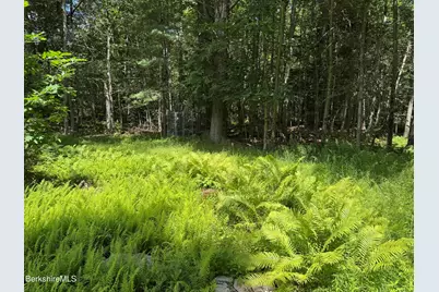 Lot 13 Algerie Rd, Otis, MA 01253 - Photo 11