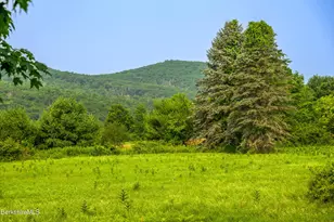 32 Crooked Hill Rd, Alford, MA 01230 - Photo 69