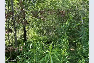 0 Hawk Rd, Hinsdale, MA 01235 - Photo 3