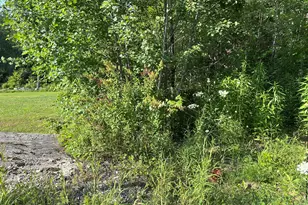 0 Hawk Rd, Hinsdale, MA 01235 - Photo 1