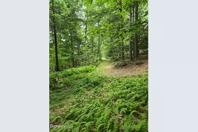 0 Monroe Rd, Florida, MA 01247 - Photo 5