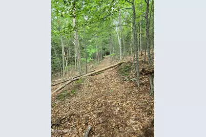 0 Monroe Rd, Florida, MA 01247 - Photo 9