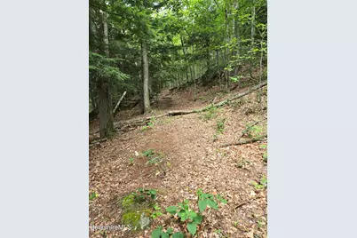 0 Monroe Rd, Florida, MA 01247 - Photo 15