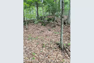 0 Monroe Rd, Florida, MA 01247 - Photo 13