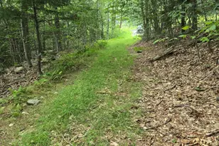 0 Monroe Rd, Florida, MA 01247 - Photo 1
