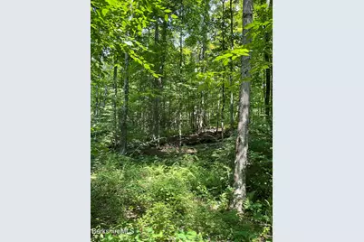 8 Stone Ridge Rd, Stockbridge, MA 01262 - Photo 7