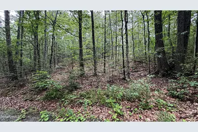 Lot76 Moberg Rd, Becket, MA 01223 - Photo 5