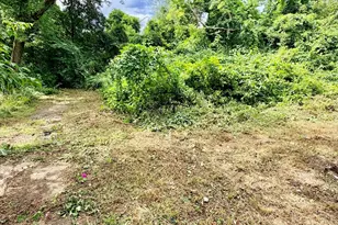 79 Dewey Ave, Pittsfield, MA 01201 - Photo 5